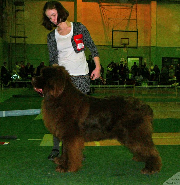 Фотография № 59357