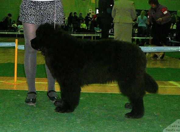 Фотография № 59360