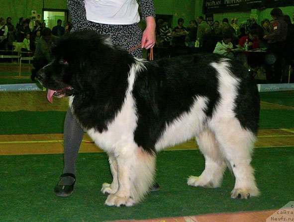 Фотография № 59364