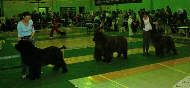 Фотография № 59365