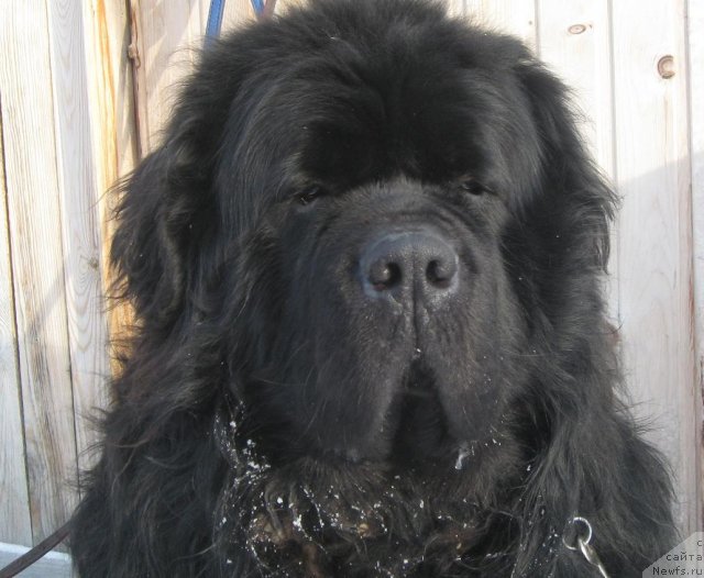 Фотография № 59368