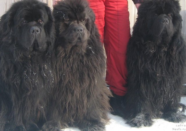 Фотография № 59371