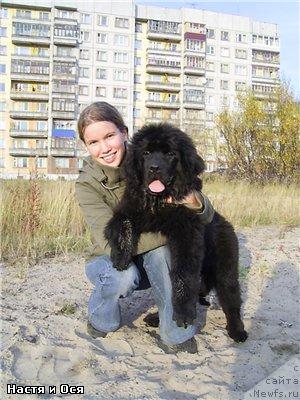 Фотография № 5940