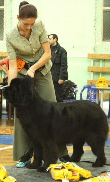 Фотография № 59411