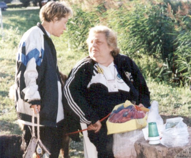 Фотография № 59412