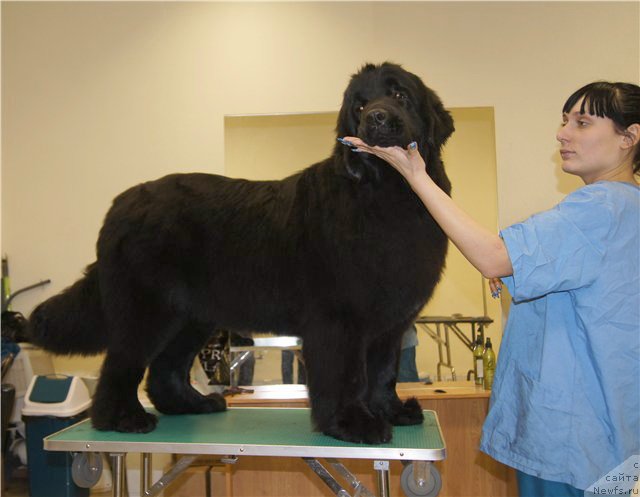 Фотография № 59416