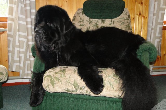 Фотография № 59445