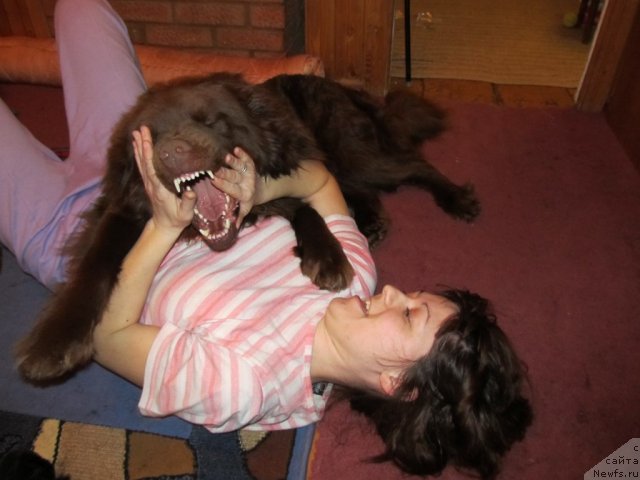 Фото: Irina Nistratova (Ирина Нистратова)