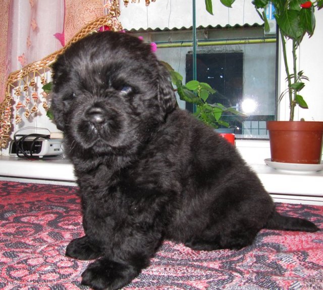 Фотография № 59466