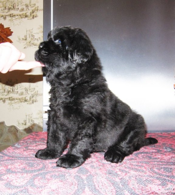 Фотография № 59468