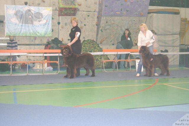 Фотография № 59494