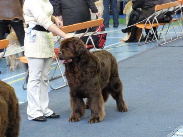 Фотография № 59496