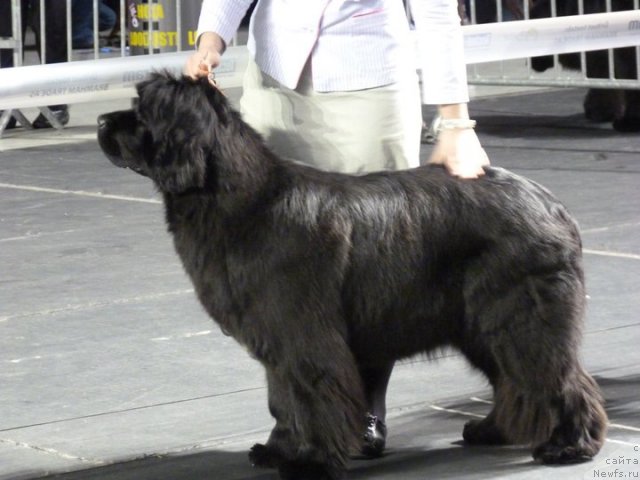 Фотография № 59509