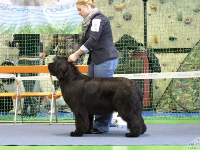 Фотография № 59510