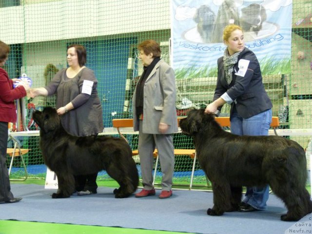 Фотография № 59511