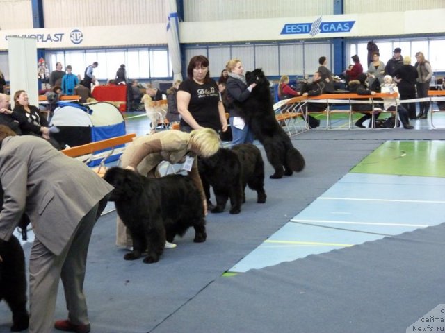 Фотография № 59512