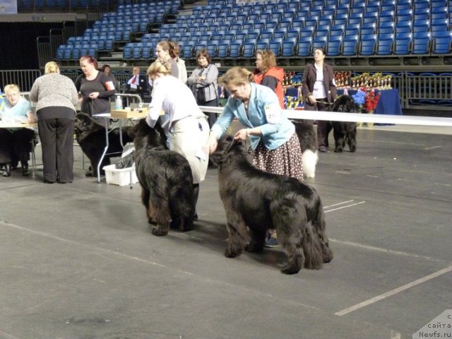 Фотография № 59513