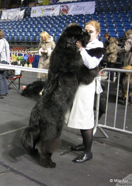 Фотография № 59514