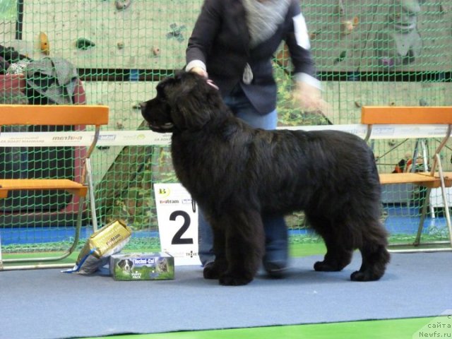 Фотография № 59515