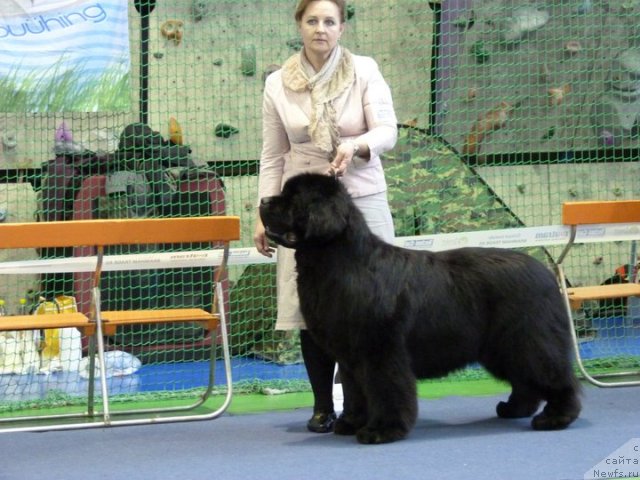 Фотография № 59518