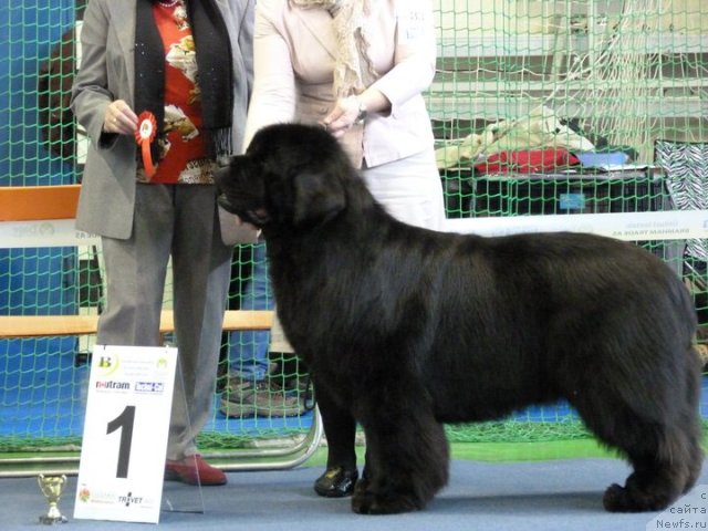 Фотография № 59519