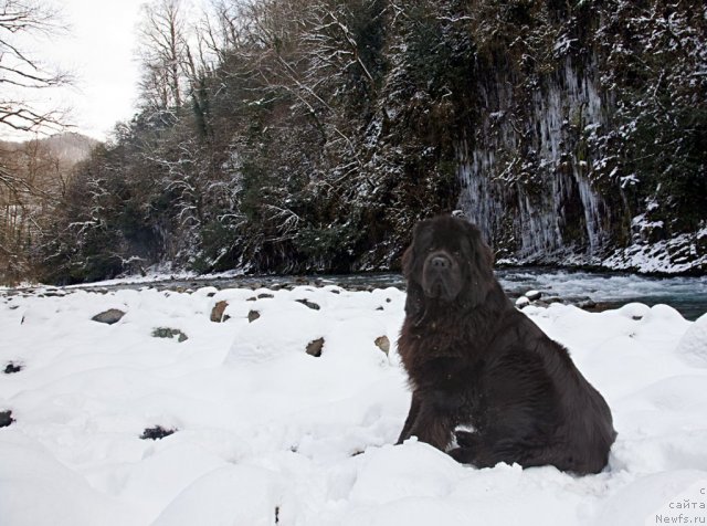 Фотография № 59564