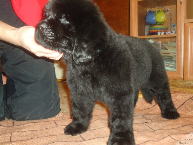 Фото: Уютная Долина Биг Бар оф Голд