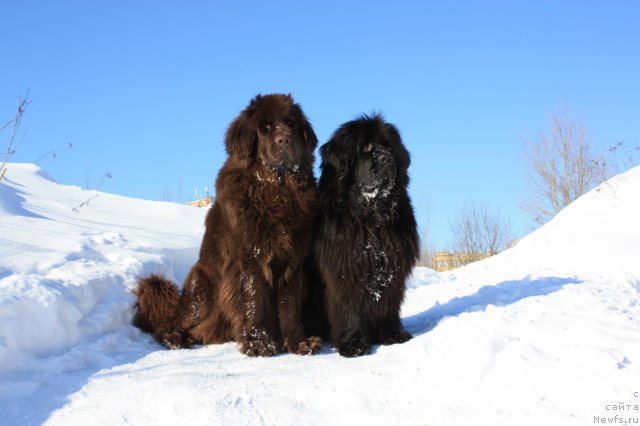 Фотография № 59632