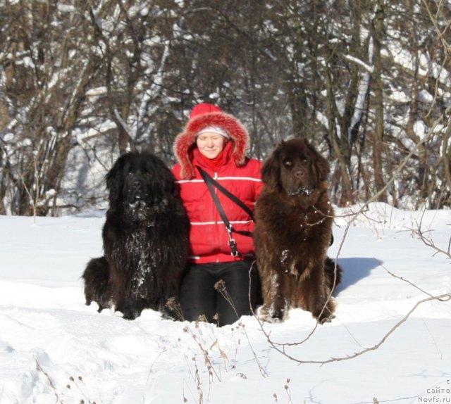 Фотография № 59633