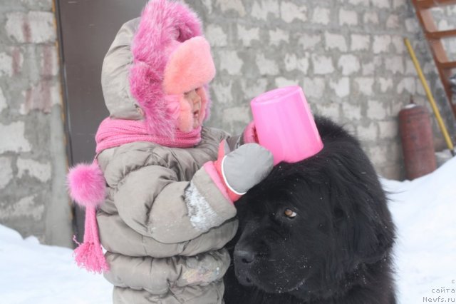 Фото: РафаэллаБриллианс Черная Жемчужина и Лизочка