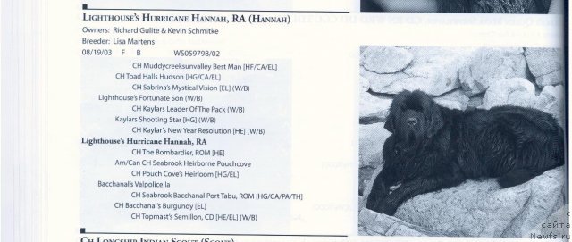 Фотография № 59671