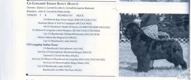 Фотография № 59673