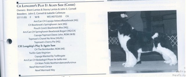 Фотография № 59677