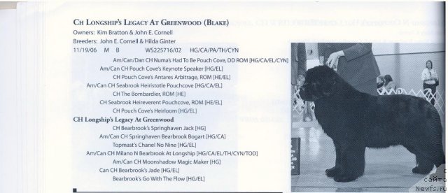 Фотография № 59680