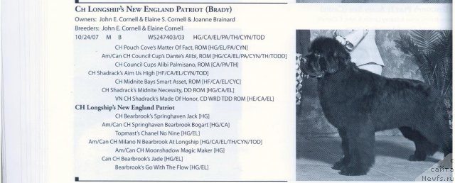 Фотография № 59682