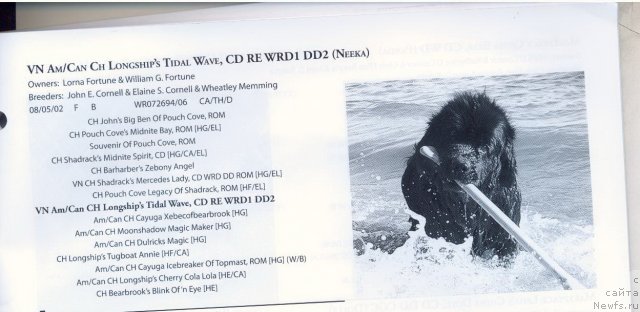 Фотография № 59684