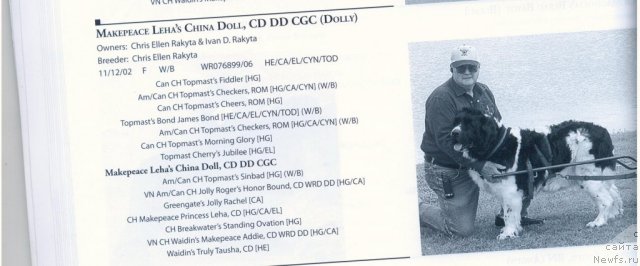 Фотография № 59689