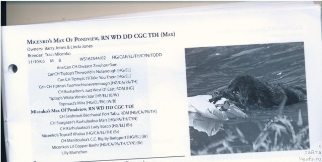 Фотография № 59691