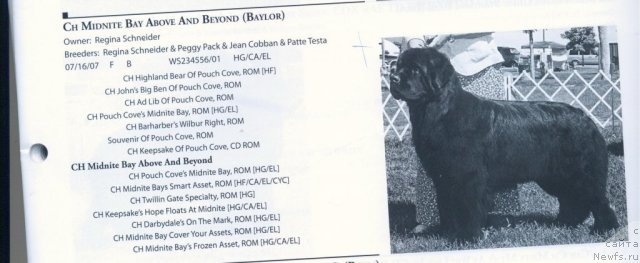 Фотография № 59692