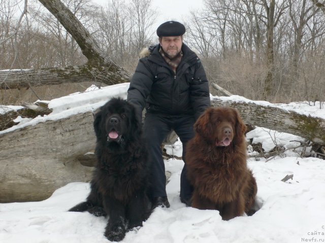 Фотография № 59696