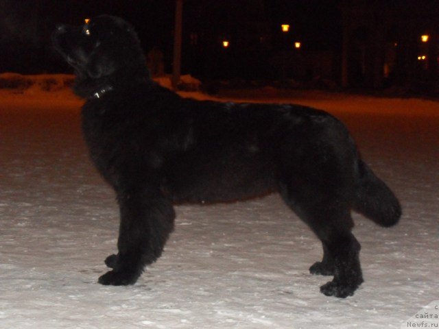 Фотография № 59700