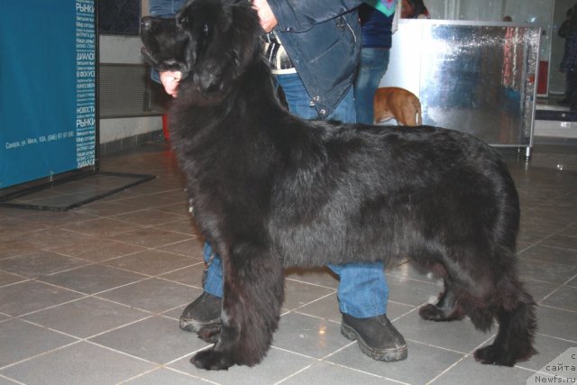 Фотография № 59701