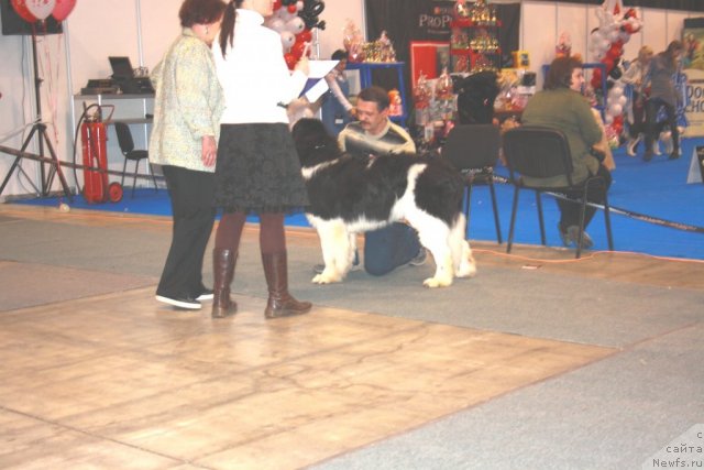 Фотография № 59703