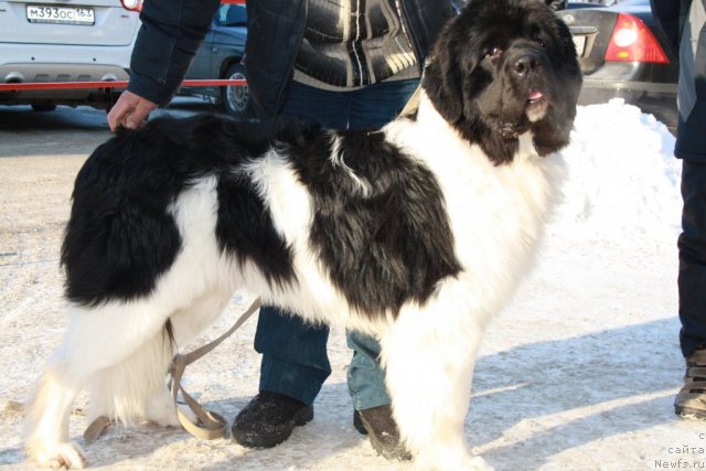 Фотография № 59705