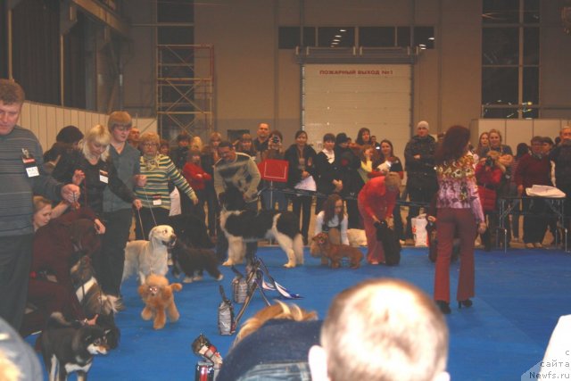 Фотография № 59710