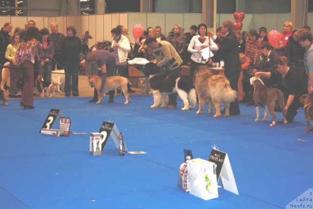 Фотография № 59711