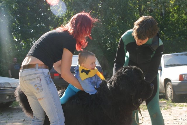 Фотография № 59728