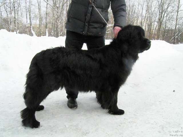 Фотография № 59729