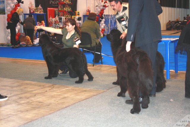 Фотография № 59733