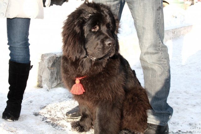 Фотография № 59738